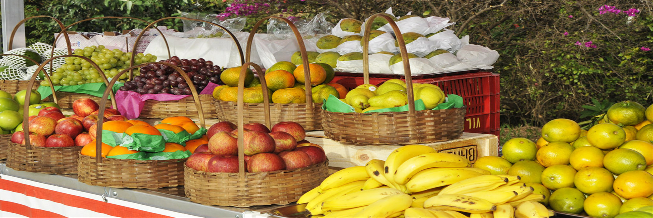 CIRCUITO DAS FRUTAS ROTEIRO